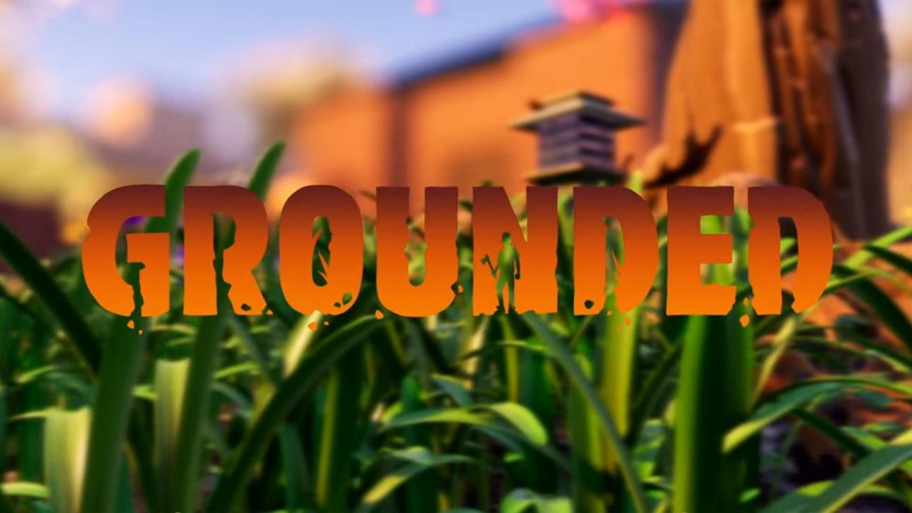 Grounded Grounded