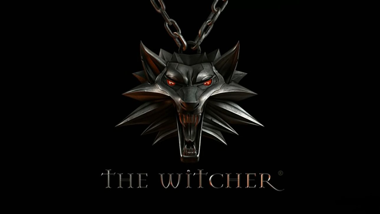The Witcher The Witcher
