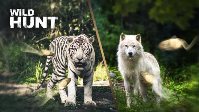 Wild Hunt Wild Hunt Teaser