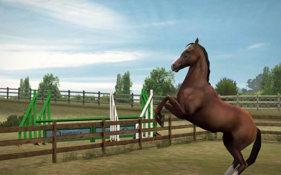 My Horse kostenlos spielen | ProSieben Games